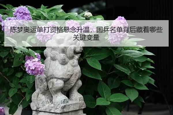 陈梦奥运单打资格悬念升温，国乒名单背后藏着哪些关键变量