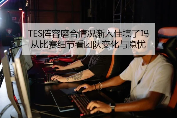 TES阵容磨合情况渐入佳境了吗 从比赛细节看团队变化与隐忧